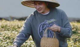 18号爆料林生斌视频,18号爆料背后的惊人内幕