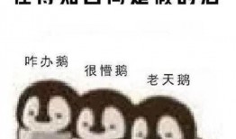 娱乐吃瓜酱情感文案图片,揭秘情感文案背后的故事